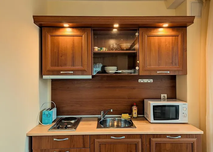 Apartment Great View Near Gondola Bansko